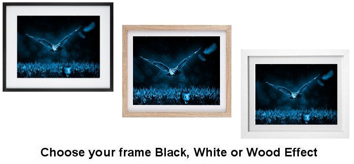 Select Your Frame